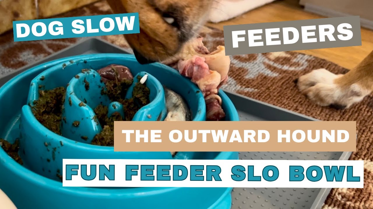 Outward Hound Fun Feeder Slo Bowl - Slow Feeder Dog Bowl (5 in bowl )