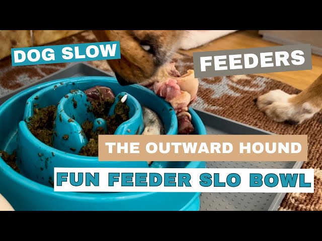 Outward Hound Fun Feeder Dog Bowl, Teal