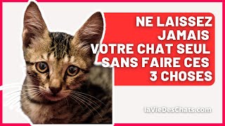 NE LAISSEZ JAMAIS VOTRE CHAT SEUL SANS FAIRE CES 3 CHOSES