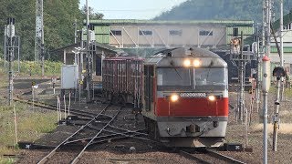 2019.09.05 撮影　遠軽駅　石北貨物 玉ねぎ列車　☆北鉄路漫586