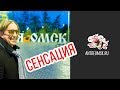 Омский запах - причина установлена | Сенсационное предположение известного актера