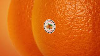 Video thumbnail of "Emotional Oranges - Not Worth It (Audio)"