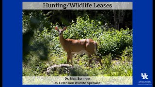Hunting/Wildlife Leases