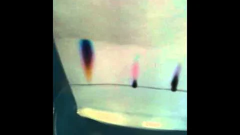 paper chromatography