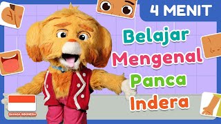 EPISODE SPESIAL DOMIKADO - BELAJAR MENGENAL PANCA INDERA