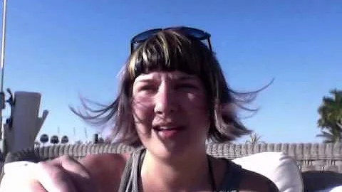 Removing Burrs From Your Dog