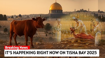 Third Temple Update:  Perfect Red Heifer on Mount of Olives, Will the Ceremony happen this August?