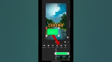 Advance Watermark Tutorial |InShot