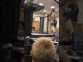Lee Vs Chachi pro fight