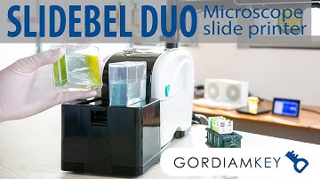 GordiamKey | Slidebel Duo