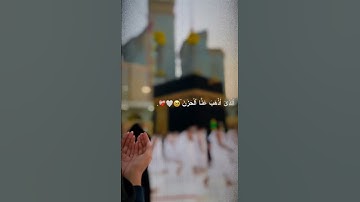 اجر لي ولكم قرآن كريم استغفرالله الشيخ ماهر المعيقلي