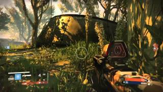 Life Saving Collateral - Bungie Destiny Crucible