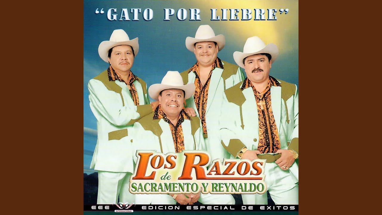 Obejrzyj Gato Por Liebre w YouTube Obejrzyj Gato Por Liebre w YouTube