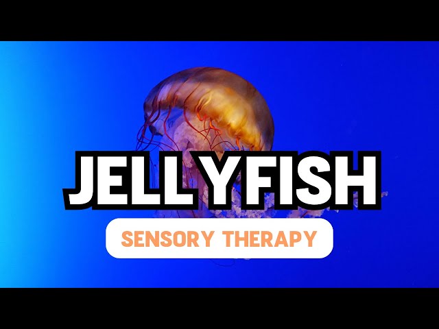 Jellyfish and Calming Music || Autism Sensory Therapy class=