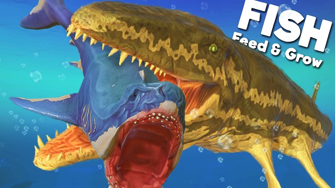 Feed and grow fish: Prognathodon by TrevorHendersonFan8 on DeviantArt