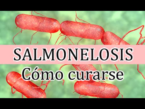 Vídeo: Tratamiento De La Salmonelosis En Niños: Medicamentos, Métodos Y Formas