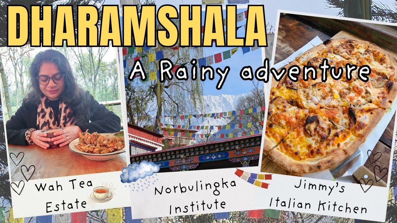 Rain, Chai, & Tibetan Vibes: Journey from Palampur to Dharamshala | Stay at Norbulingka in Losar
