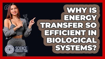 Why Is Energy Transfer So Efficient In Biological Systems? - Science Through Time