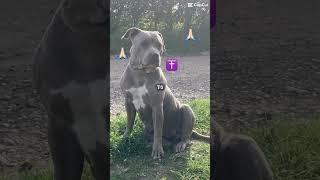 Ain’t that the truth ￼