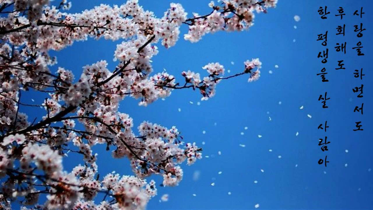 이무송 - 사는게 뭔지 (1992年)