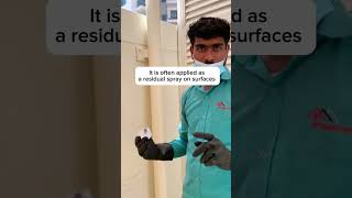 pest control dubai | good pest control dubai | Affordable group of companies