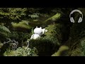 森の中から聞こえる鳥の鳴き声や風の音を聞きながらの環境音や自然音