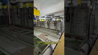 Tailored Plating Line Design by QLQ According to Your Site