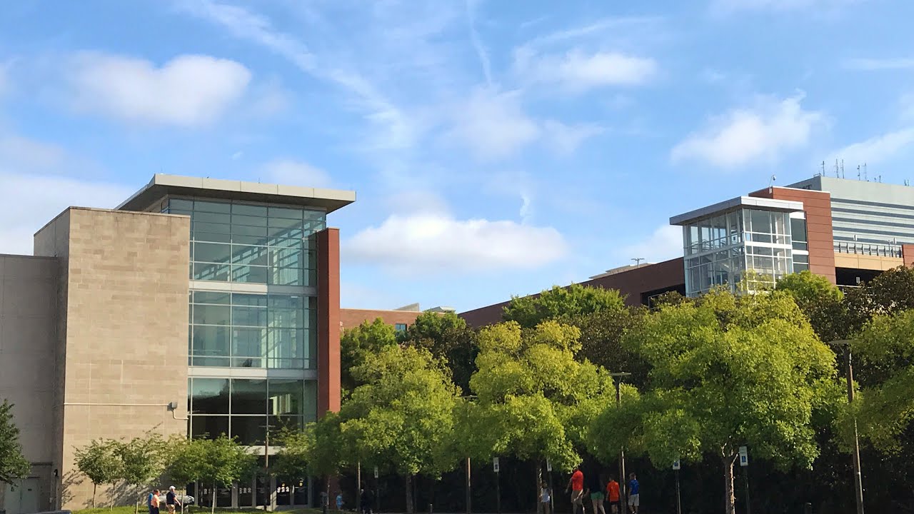 My First LEGO Convention