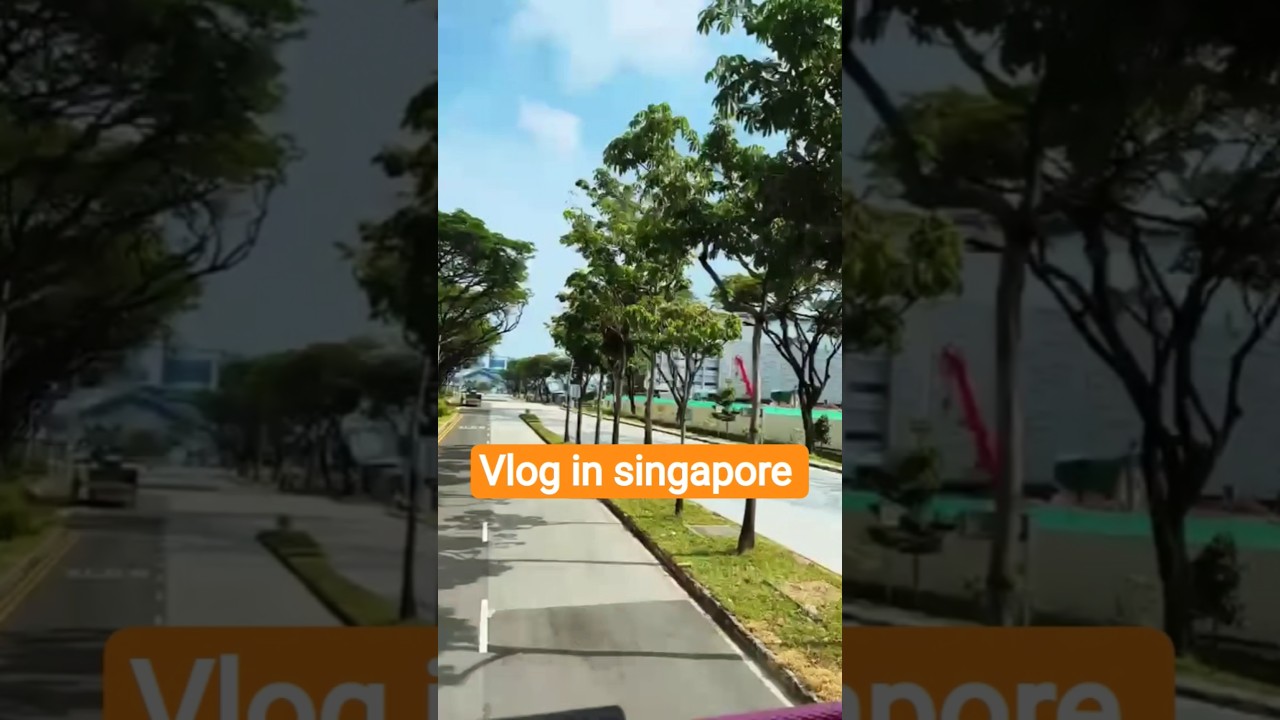 Vlog no 8 in Singapore 
