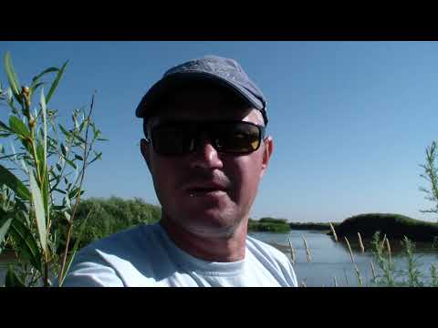 Охота и рыбалка на Судака и Перепела👍