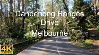 Drive In Dandenong Ranges | Melbourne Australia | 4K UHD
