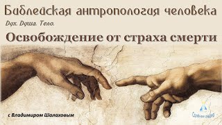 Свобода От Страха Смерти. Библейская Антропология #11 (03.03.2023)