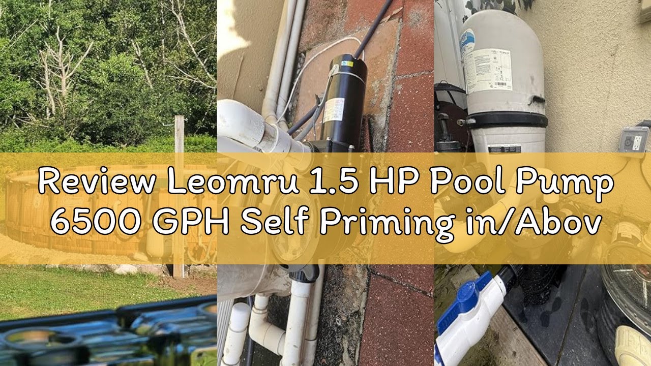 Review Leomru 1.5 HP Pool Pump 6500 GPH Self Priming in/Above Ground Swimming Pool Pump 110V/220V Du