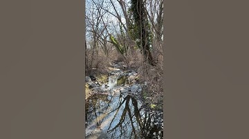 🌊Surrender & Flow: Navigating Life’s Currents with Intuition 🌕 from a Piscean Perspective