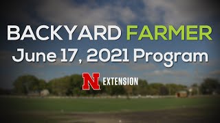 Backyard Farmer Jun3 17, 2021
