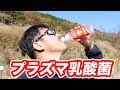 キリンビバレッジ まもるチカラのサプリすっきりヨーグルトテイストを飲む・マック堺 サブチャンネル
