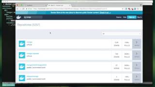 Creating a simple Docker environment for a NodeJS application