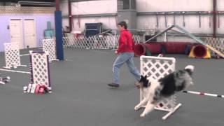 agility students Amanda HW week 1 lesson 3  Leah and Jed Jed Jed  041
