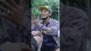 Penyubur yang dipake Mbah Wito bikin petani cabe penasaran lurr