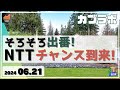 【カブラボ】6/21 そろそろ出番か!? NTT株にチャンス到来！