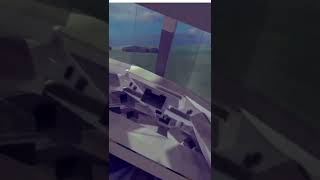 Airplane Crash From Cockpit #Shorts