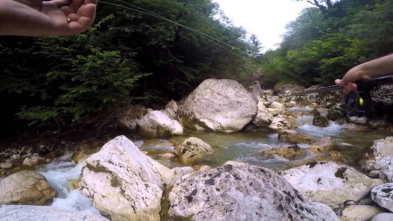 Peche au toc no kill torrent juin 2015 en bas et en haut