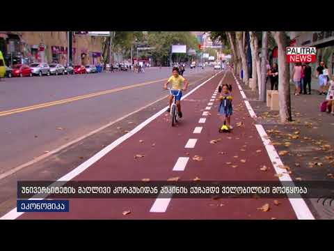 უნივერსიტეტის მაღლივი კორპუსიდან პეკინის ქუჩამდე ველობილიკი მოეწყობა