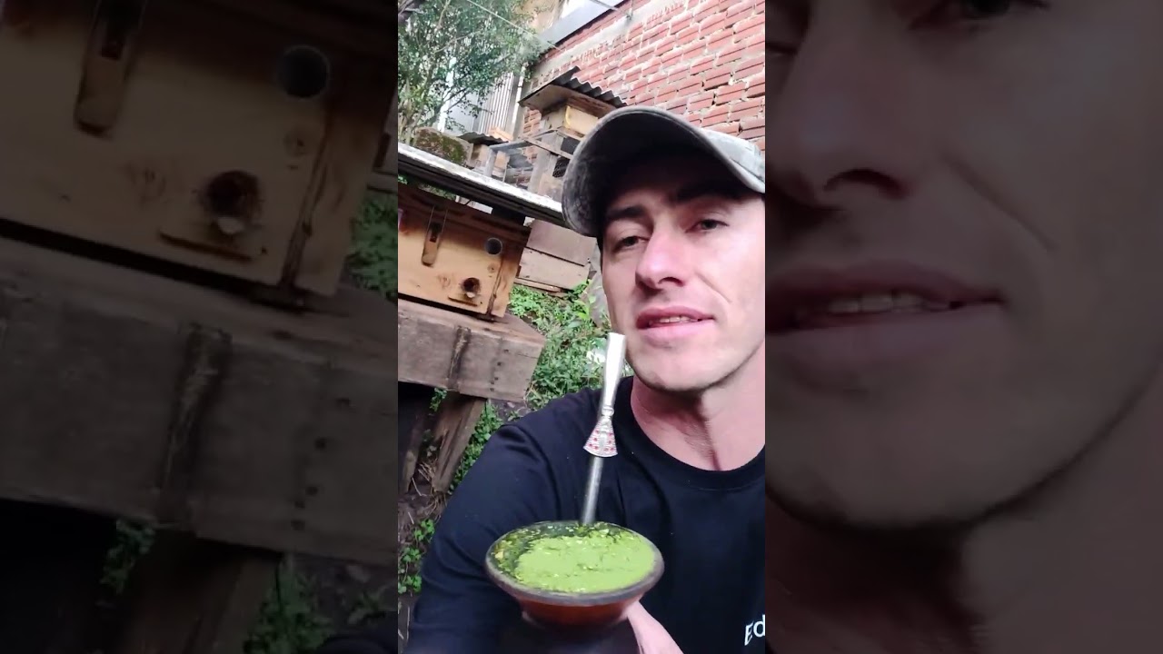 iniciando criação e preservação abelhas nativas Sen ferrao ..