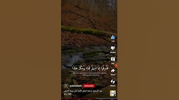 استمع الى القران الكريم اجر لي ولك القارئ عبد الرحمن مسعد