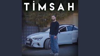 Timsah - Ali Tüzel