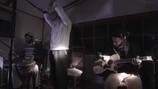 ניגוני העץ-יחיד חי העולמים
