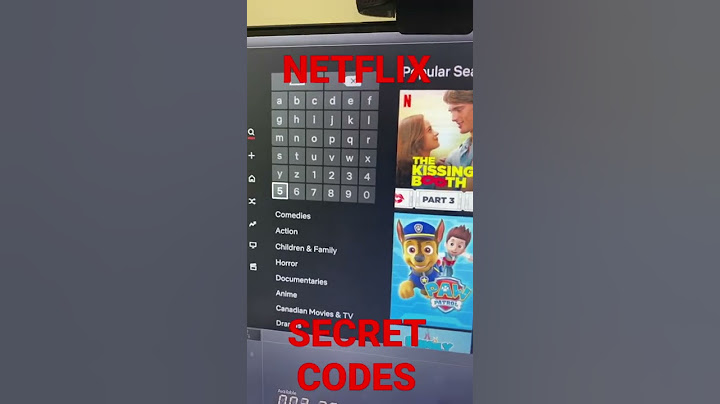 Netflix Secret codes