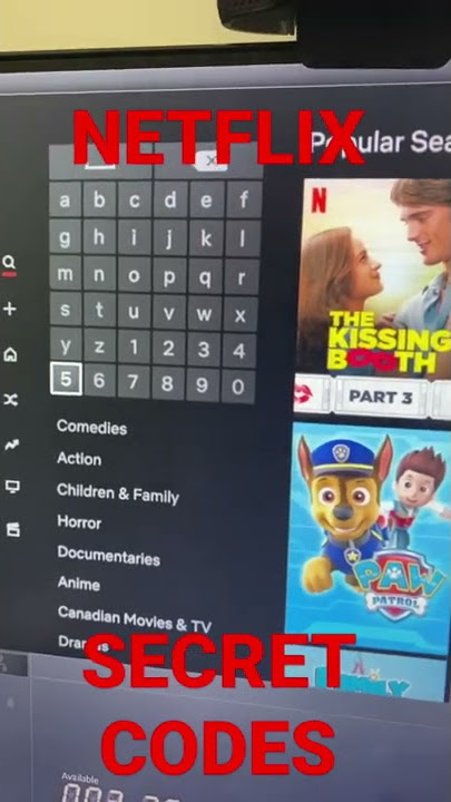 Netflix Secret codes