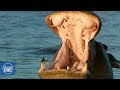 Lake Manyara National Park  Reviews